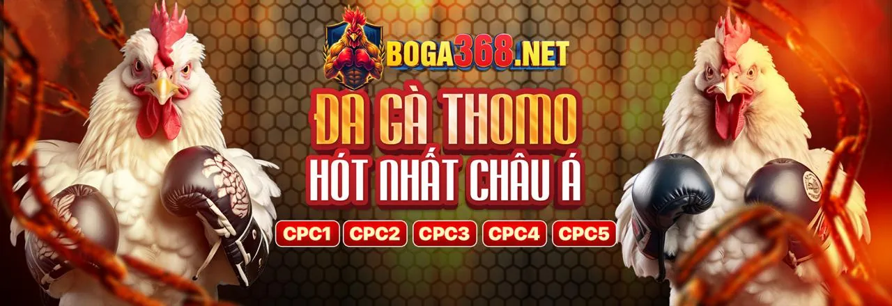 Đá gà kịch tính tại 888vi nhà cái